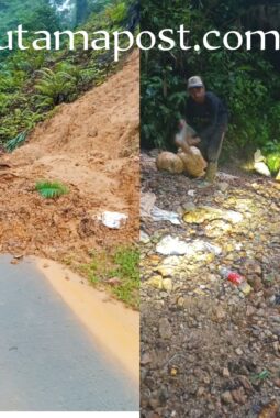 Miris! Tambang Emas Ilegal Kian Marak, Hutan TNGHS Blok Cirotan Rusak Parah.